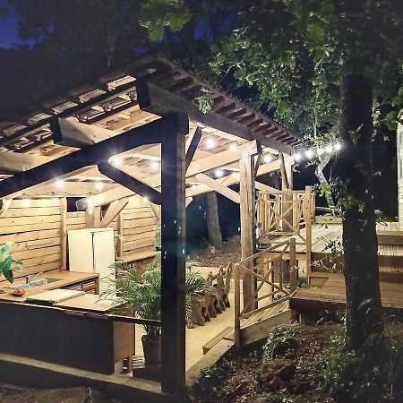 La Tiny Du Midi Hotel Tourrettes-sur-Loup Exterior foto